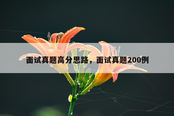 面试真题高分思路，面试真题200例