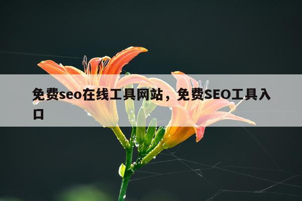 免费seo在线工具网站，免费SEO工具入口