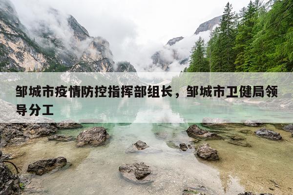 邹城市疫情防控指挥部组长，邹城市卫健局领导分工