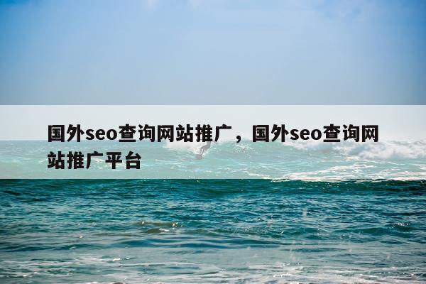 国外seo查询网站推广，国外seo查询网站推广平台