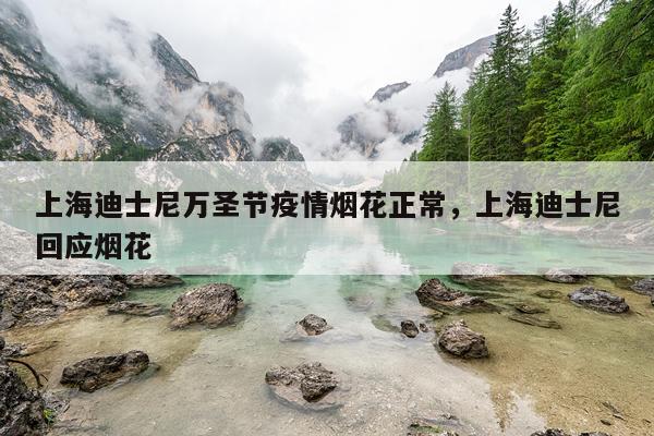 上海迪士尼万圣节疫情烟花正常，上海迪士尼回应烟花