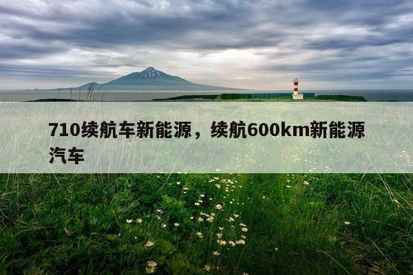 710续航车新能源，续航600km新能源汽车
