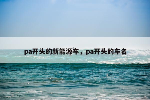 pa开头的新能源车，pa开头的车名