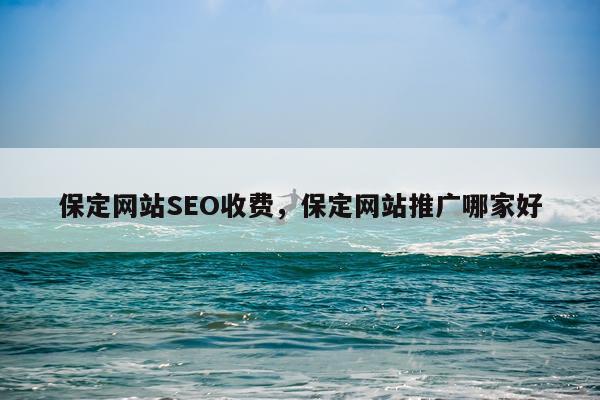 保定网站SEO收费，保定网站推广哪家好