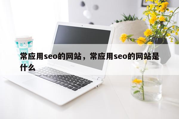 常应用seo的网站，常应用seo的网站是什么