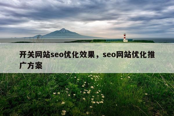 开关网站seo优化效果，seo网站优化推广方案