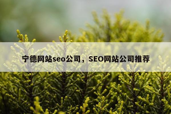 宁德网站seo公司，SEO网站公司推荐