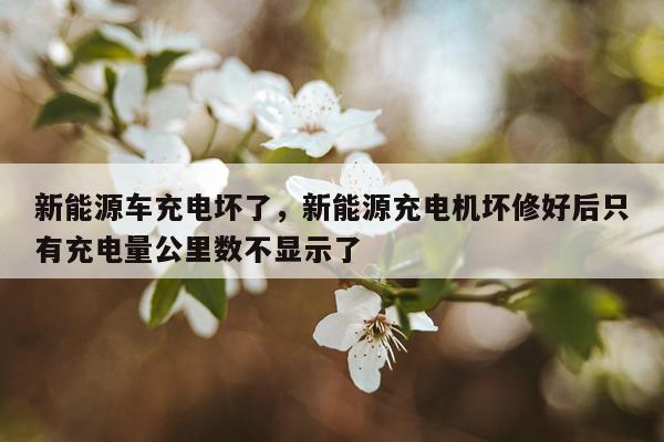 新能源车充电坏了，新能源充电机坏修好后只有充电量公里数不显示了