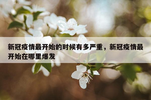 新冠疫情最开始的时候有多严重，新冠疫情最开始在哪里爆发
