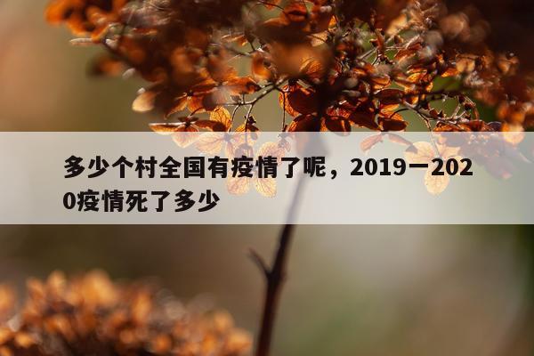 多少个村全国有疫情了呢，2019一2020疫情死了多少