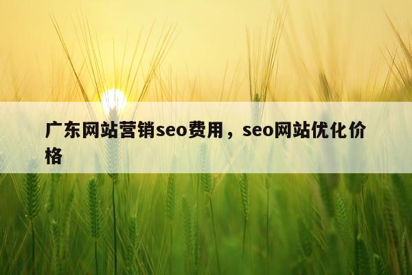 广东网站营销seo费用，seo网站优化价格