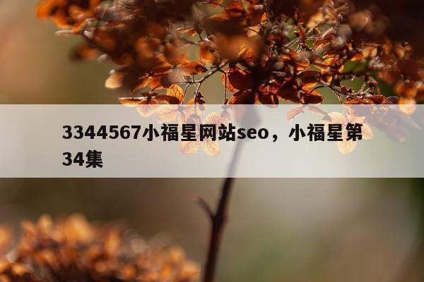 3344567小福星网站seo，小福星第34集