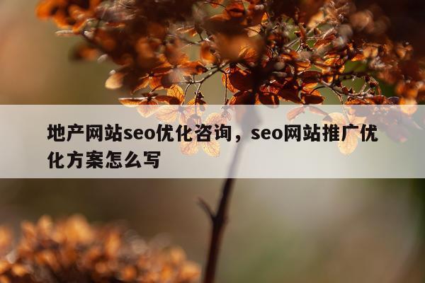 地产网站seo优化咨询，seo网站推广优化方案怎么写