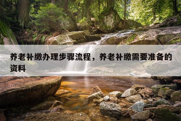 养老补缴办理步骤流程，养老补缴需要准备的资料