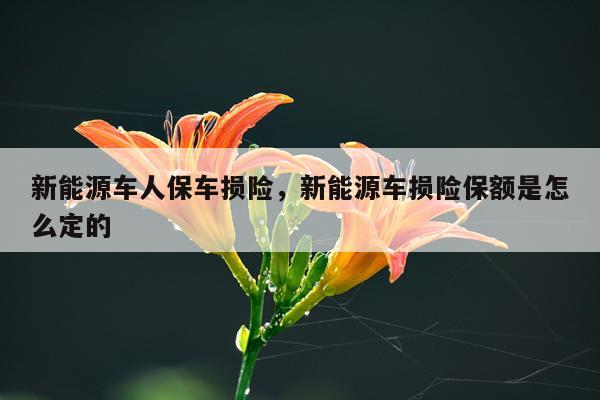 新能源车人保车损险，新能源车损险保额是怎么定的