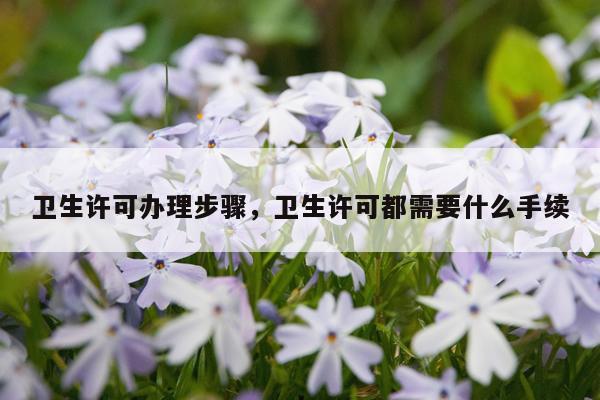 卫生许可办理步骤，卫生许可都需要什么手续