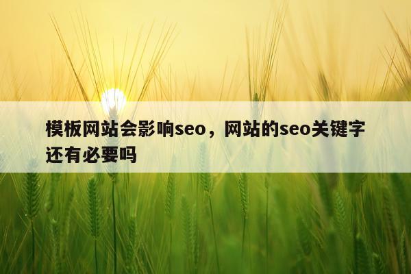 模板网站会影响seo，网站的seo关键字还有必要吗