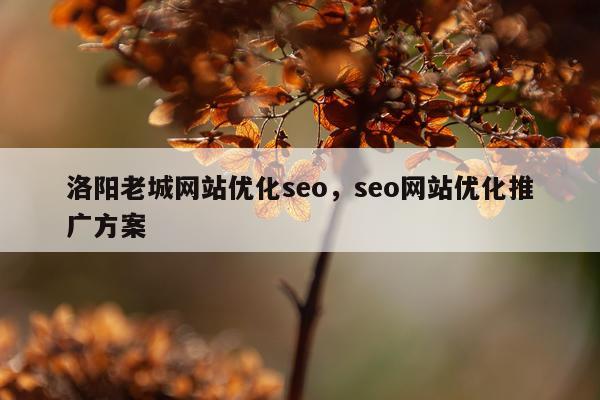 洛阳老城网站优化seo，seo网站优化推广方案