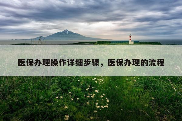 医保办理操作详细步骤，医保办理的流程