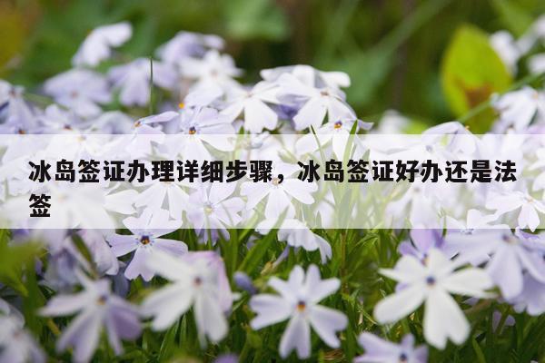 冰岛签证办理详细步骤，冰岛签证好办还是法签