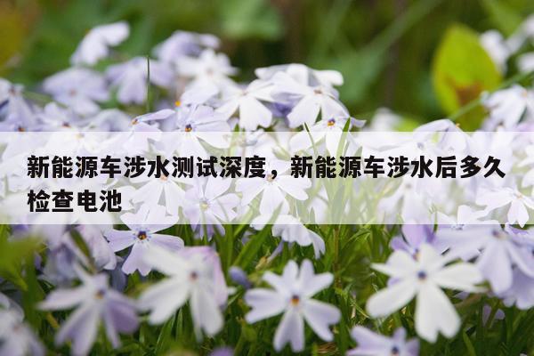 新能源车涉水测试深度，新能源车涉水后多久检查电池