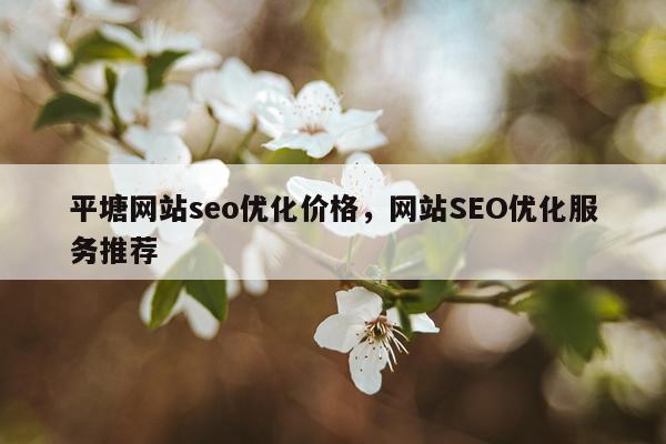 平塘网站seo优化价格，网站SEO优化服务推荐