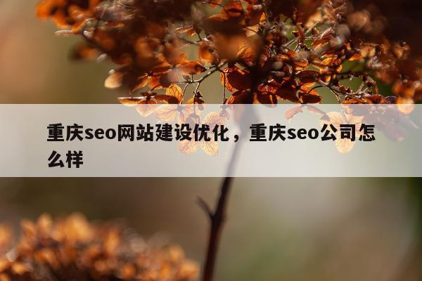 重庆seo网站建设优化，重庆seo公司怎么样