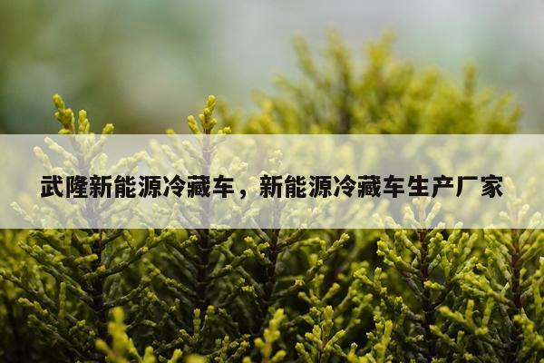 武隆新能源冷藏车，新能源冷藏车生产厂家