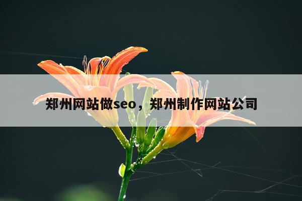 郑州网站做seo，郑州制作网站公司