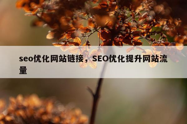 seo优化网站链接，SEO优化提升网站流量