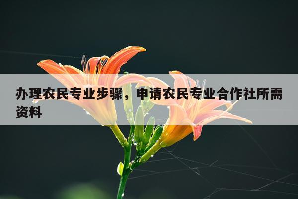 办理农民专业步骤，申请农民专业合作社所需资料