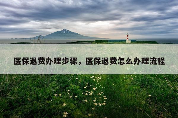 医保退费办理步骤，医保退费怎么办理流程