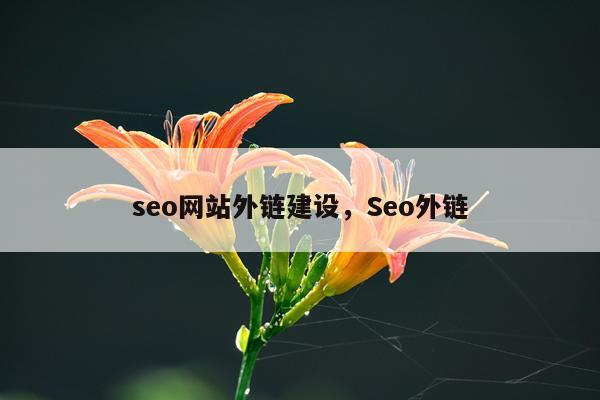 seo网站外链建设，Seo外链