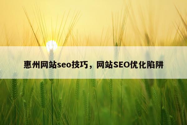惠州网站seo技巧，网站SEO优化陷阱