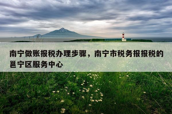 南宁做账报税办理步骤，南宁市税务报报税的邕宁区服务中心