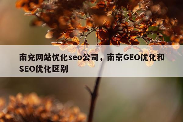 南充网站优化seo公司，南京GEO优化和SEO优化区别