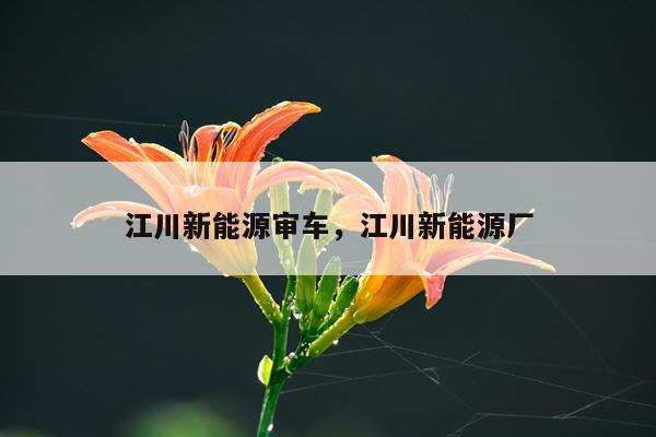 江川新能源审车，江川新能源厂