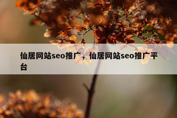 仙居网站seo推广，仙居网站seo推广平台