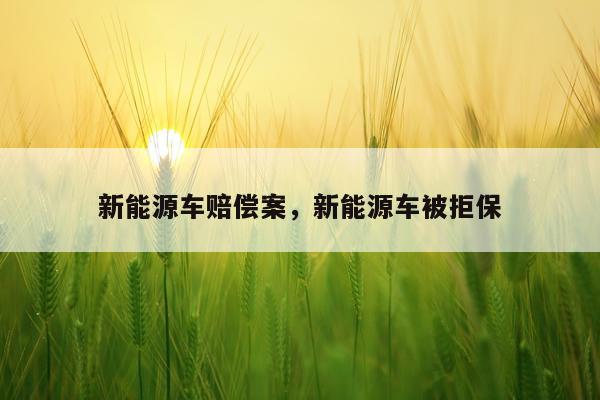 新能源车赔偿案，新能源车被拒保
