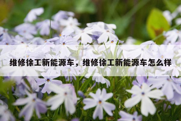 维修徐工新能源车，维修徐工新能源车怎么样