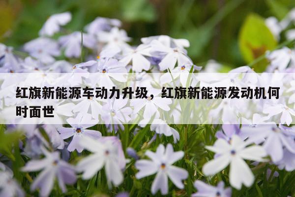 红旗新能源车动力升级，红旗新能源发动机何时面世