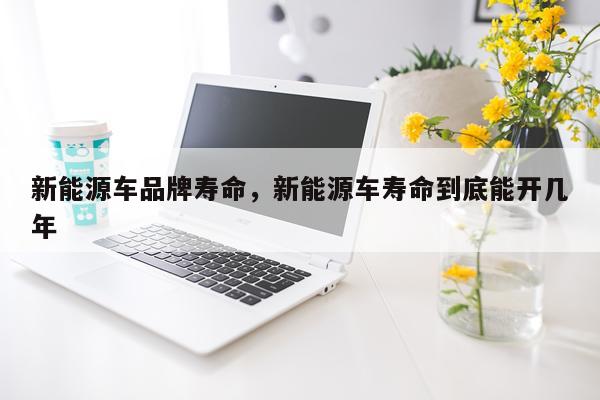 新能源车品牌寿命，新能源车寿命到底能开几年