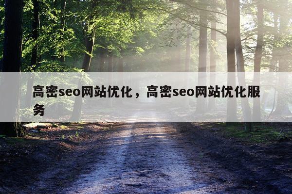 高密seo网站优化，高密seo网站优化服务