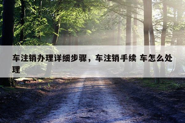 车注销办理详细步骤，车注销手续 车怎么处理