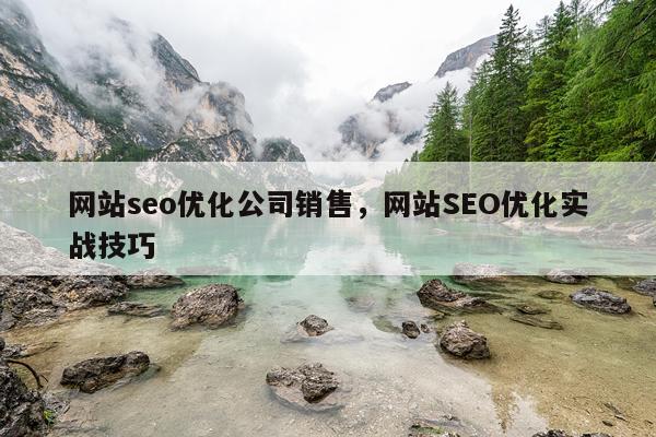 网站seo优化公司销售，网站SEO优化实战技巧