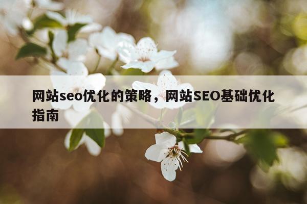 网站seo优化的策略，网站SEO基础优化指南