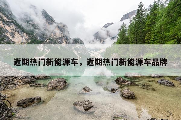 近期热门新能源车，近期热门新能源车品牌