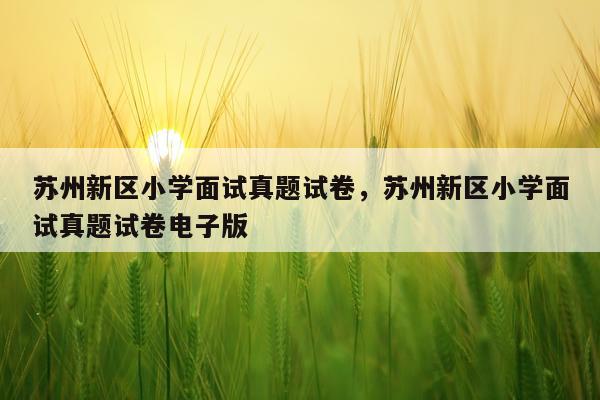 苏州新区小学面试真题试卷，苏州新区小学面试真题试卷电子版