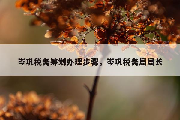 岑巩税务筹划办理步骤，岑巩税务局局长
