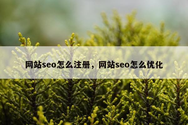 网站seo怎么注册，网站seo怎么优化